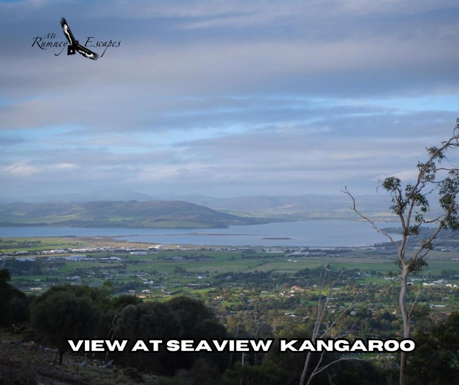 Mount Rumney Escapes - 5 Seaview Kangaroo House Exterior foto